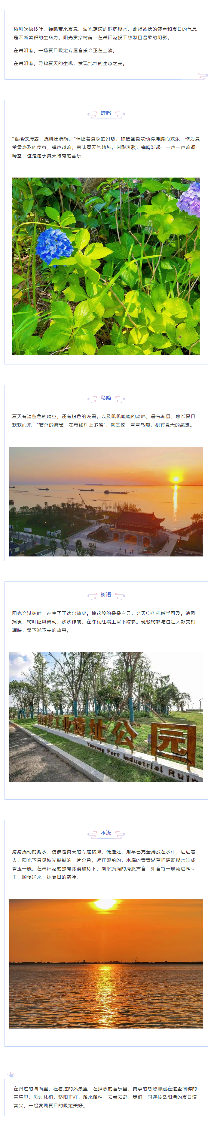 【夏日演奏會】在岳陽港，聆聽夏天的聲音.png